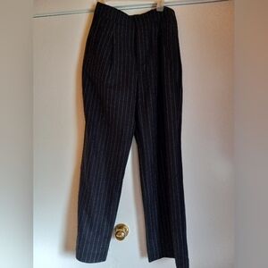 Everlane Draper Pant Wool Navy Pinstripe Lined Pleated Pants Size 8